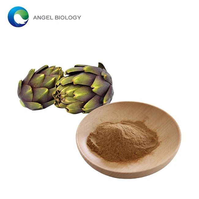 What are the Benefits of Artichoke Extract for Skin?